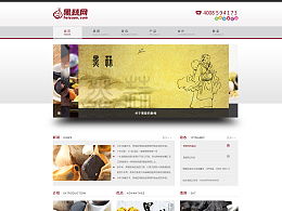 moorel的主頁(yè) Zcool網(wǎng)頁(yè)制作的藝術(shù)與創(chuàng)新